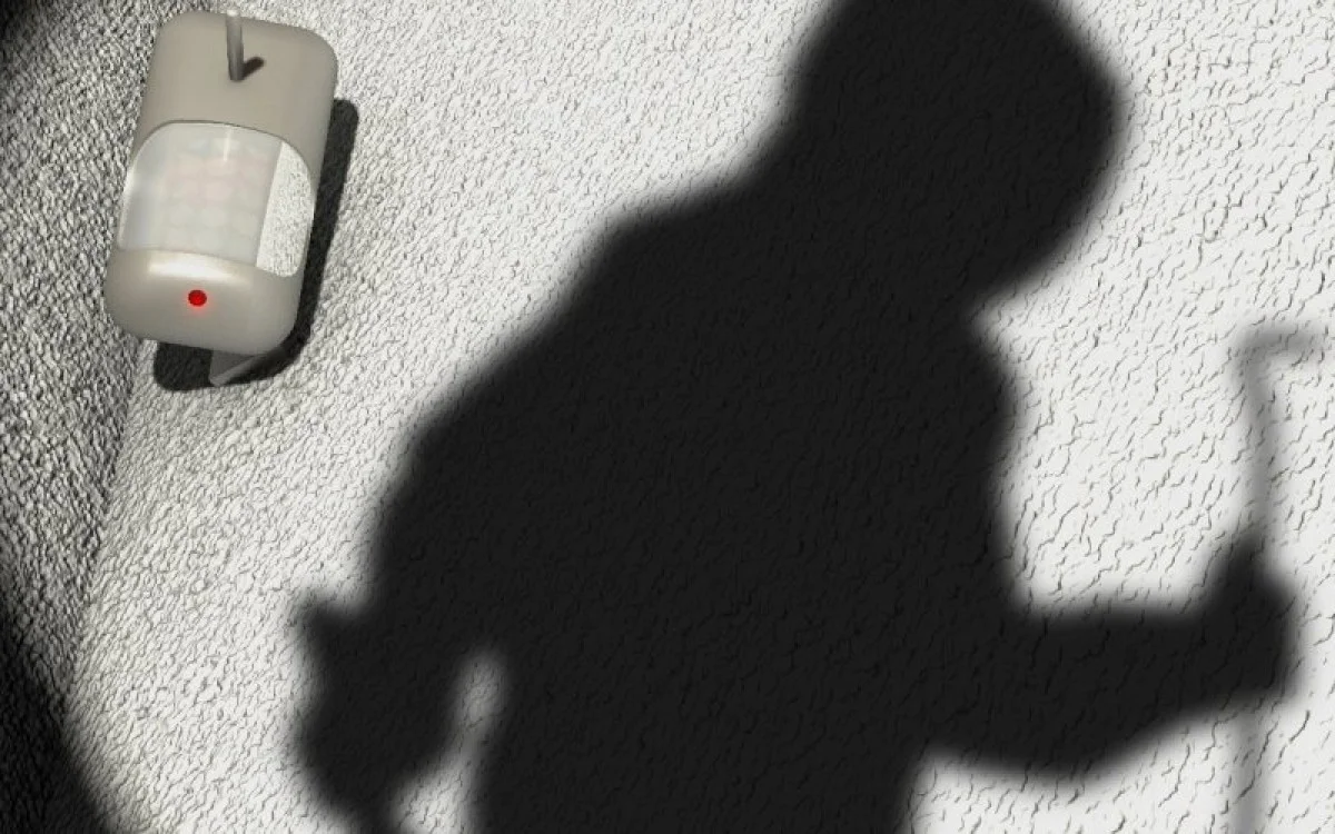 Saray Alarm Sistemleri